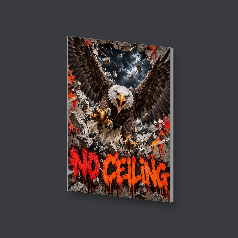 NO CEILING - Canvas Art Print - Side view